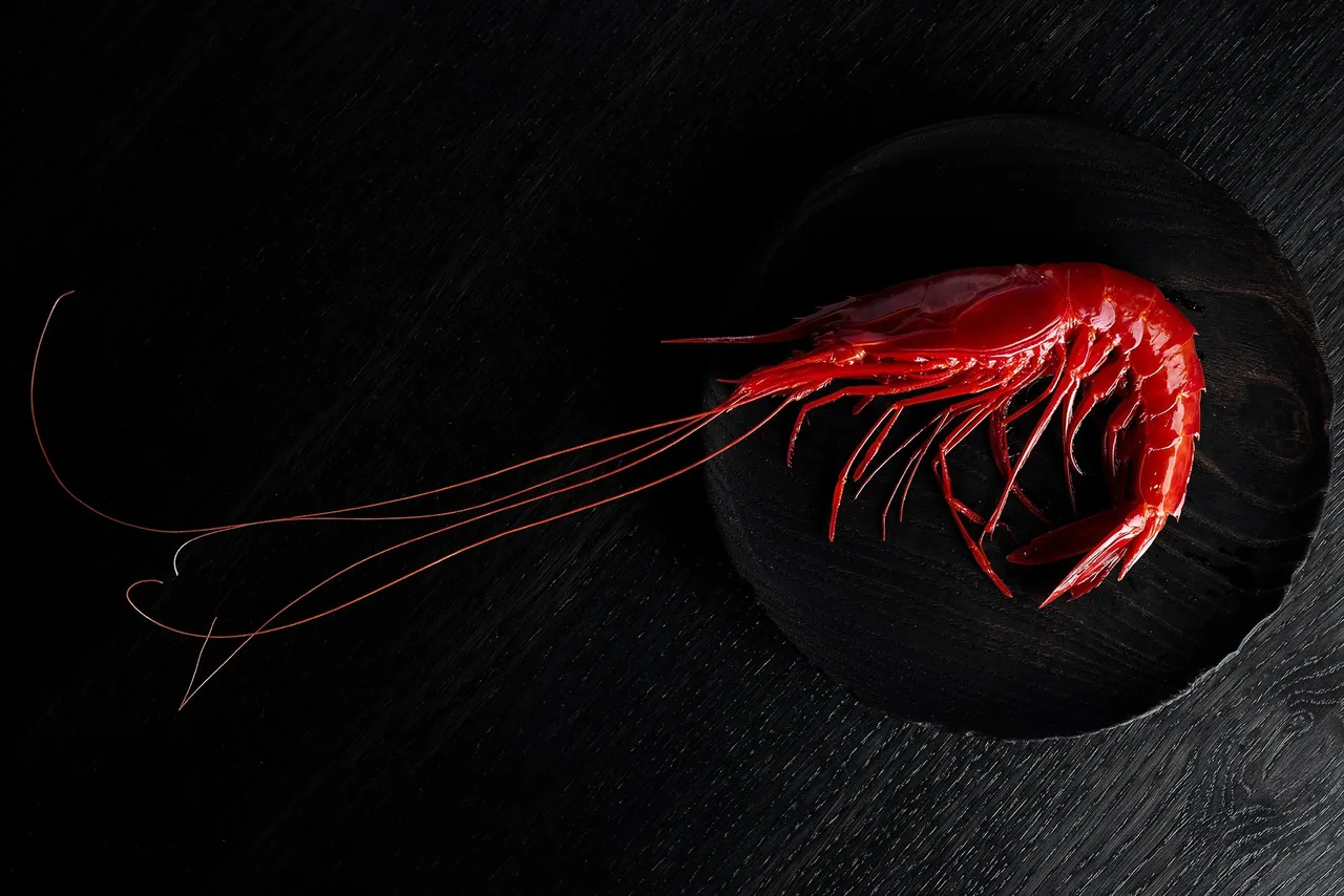 A single red prawn on a round dark wooden plate on a black surface