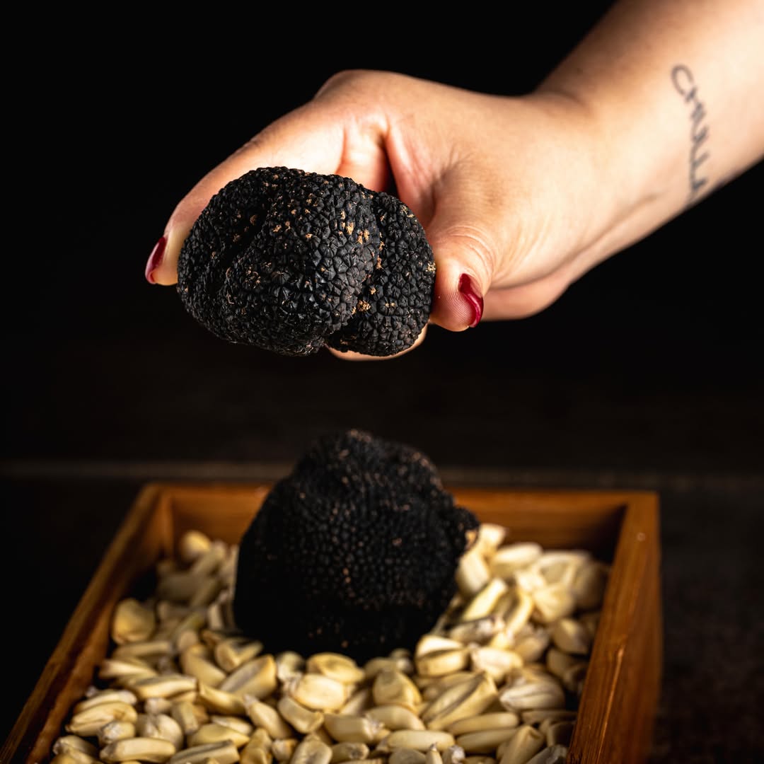 •ᴛʀᴜꜰᴀ ᴅᴇ ᴏᴛᴏñᴏ 🖤👨‍🍳
•
•ʟᴀ ᴍᴀᴅᴜʀᴇᴢ ᴀʀᴏᴍáᴛɪᴄᴀ ᴅᴇʟ ʙᴏꜱǫᴜᴇ 🔜 ᴇɴ #chullaexperience 🍽️🤵🏻‍♀️ 

•ᴅᴇꜱᴄᴜʙʀᴇ 🔜ɴᴜᴇꜱᴛʀᴀ #innovación 