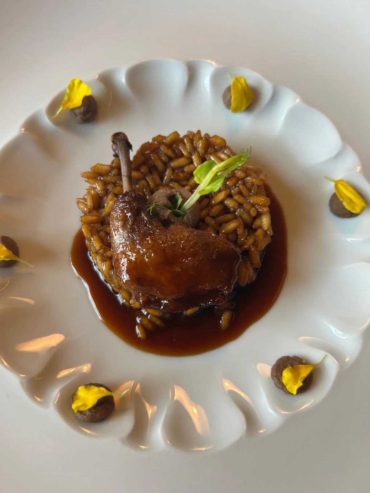 A roasted duck leg on rice with a glossy sauce on a wavy-edged white plate