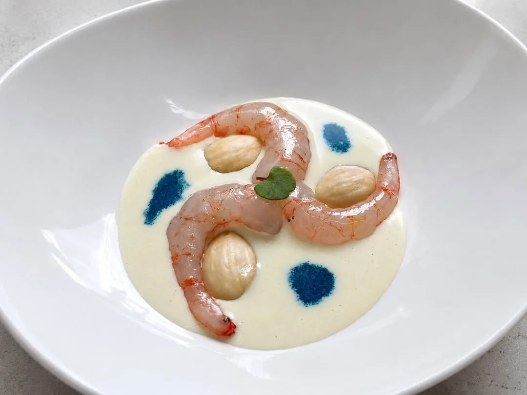 A white shallow bowl with pink prawns in a creamy white sauce dotted with blue