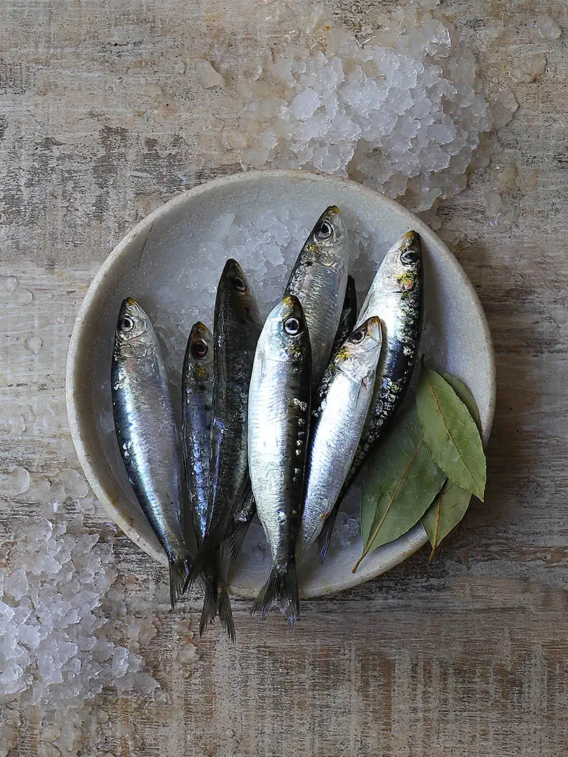 Six whole fresh sardines arranged on a stone dish set on crushed ice with bay leaves