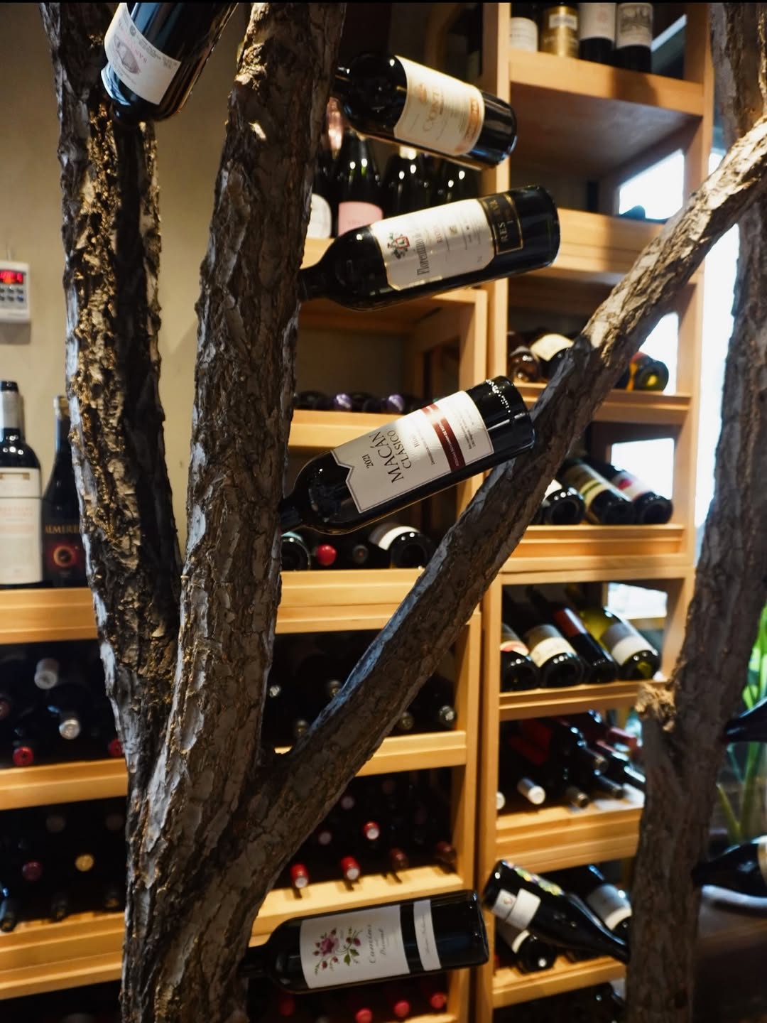 El buen vino nace de la vid, y de las ramas