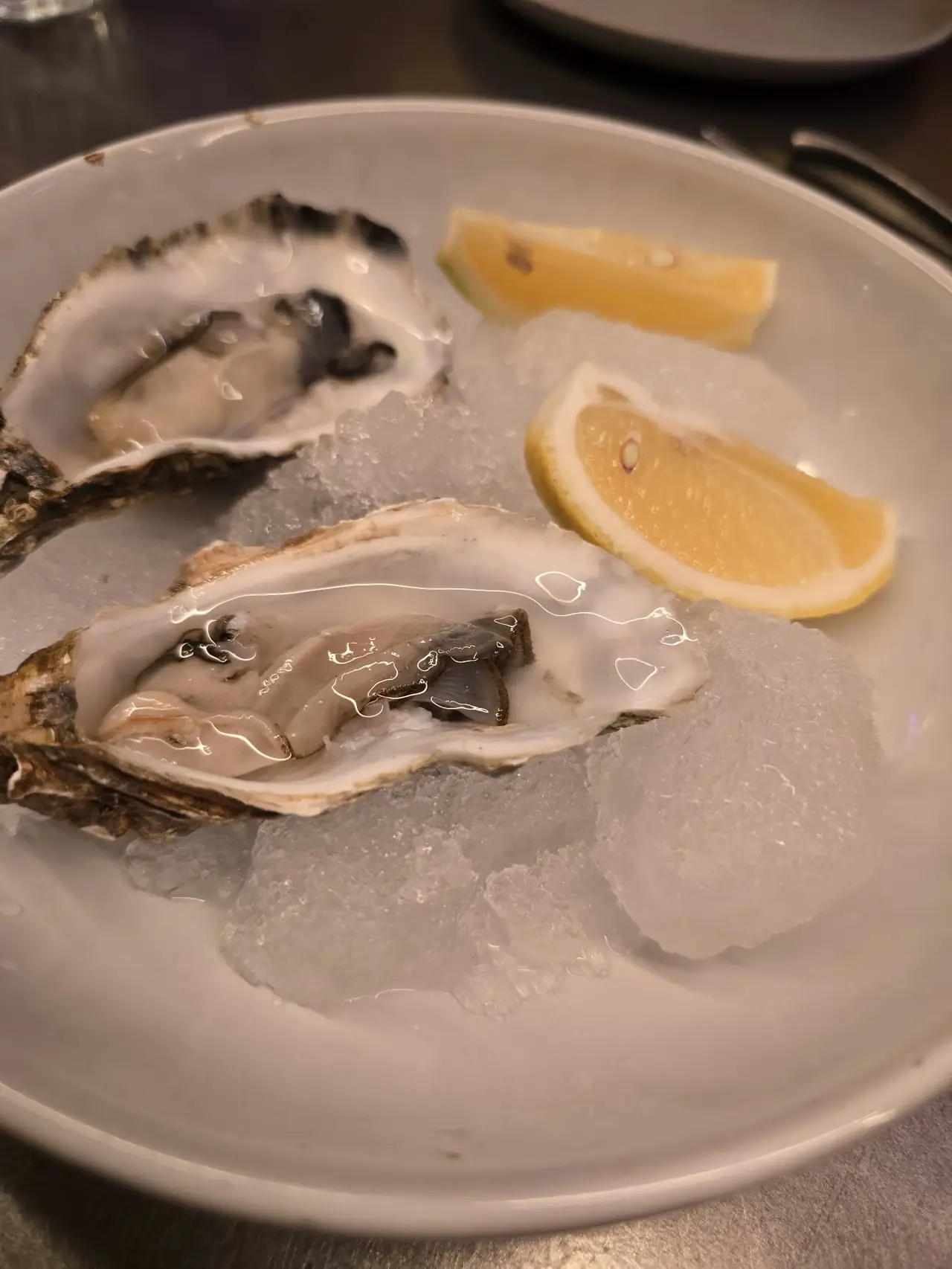 Two oysters on ice with lemon wedges