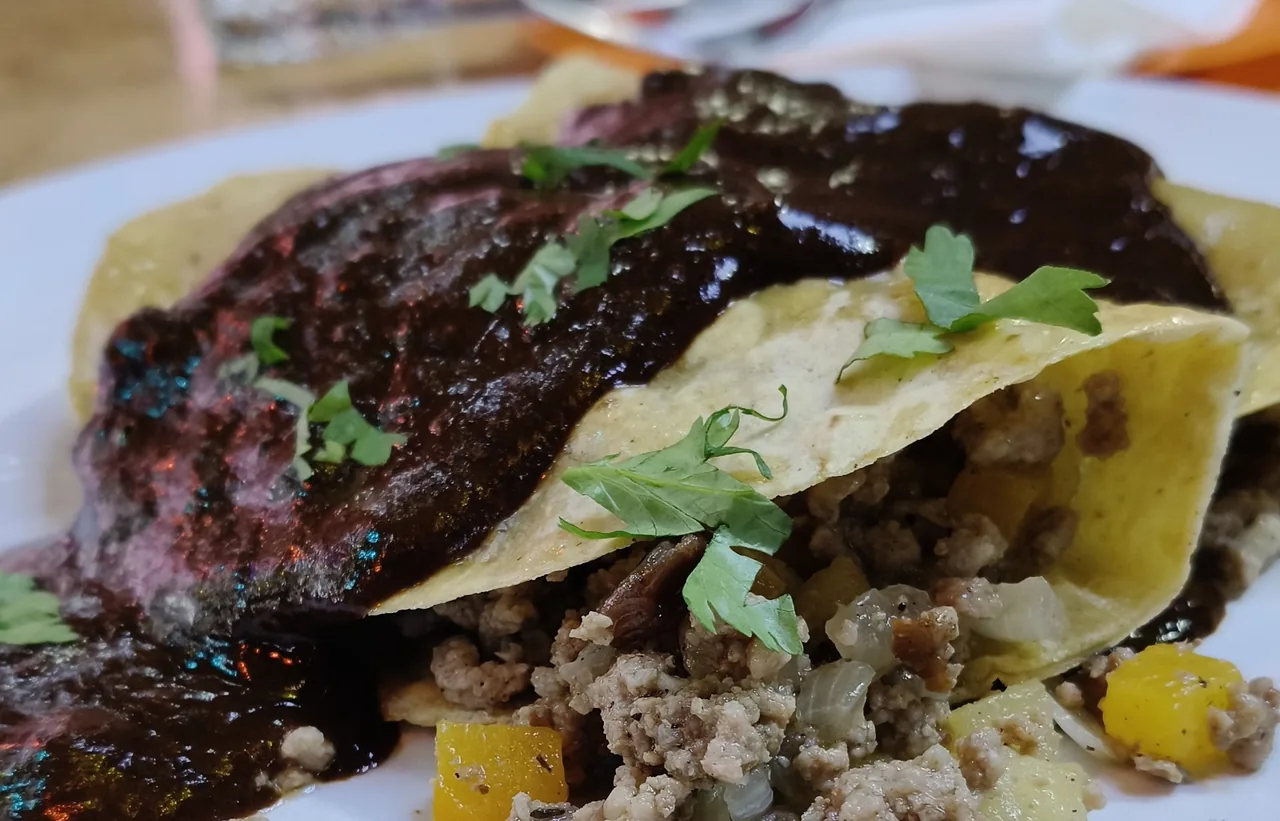 A folded tortilla topped with dark sauce and herbs on a plate