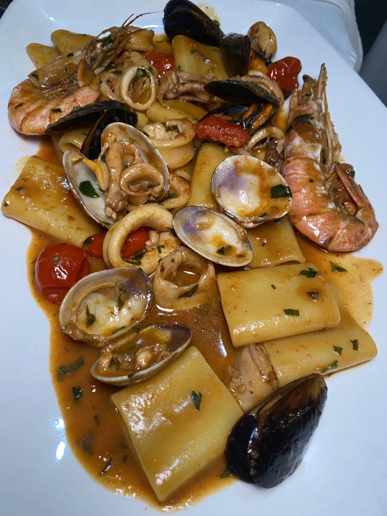 Seafood paccheri pasta with mussels, clams, shrimp, and calamari in tomato sauce, Da Antonio