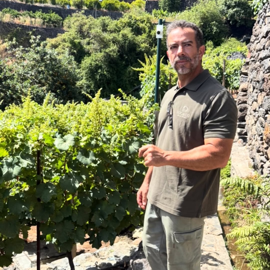 Ayer descubrimos Socalco Nature, el proyecto del chef Octávio Freitas en Calheta: un pequeño refugio entre viñedos frent