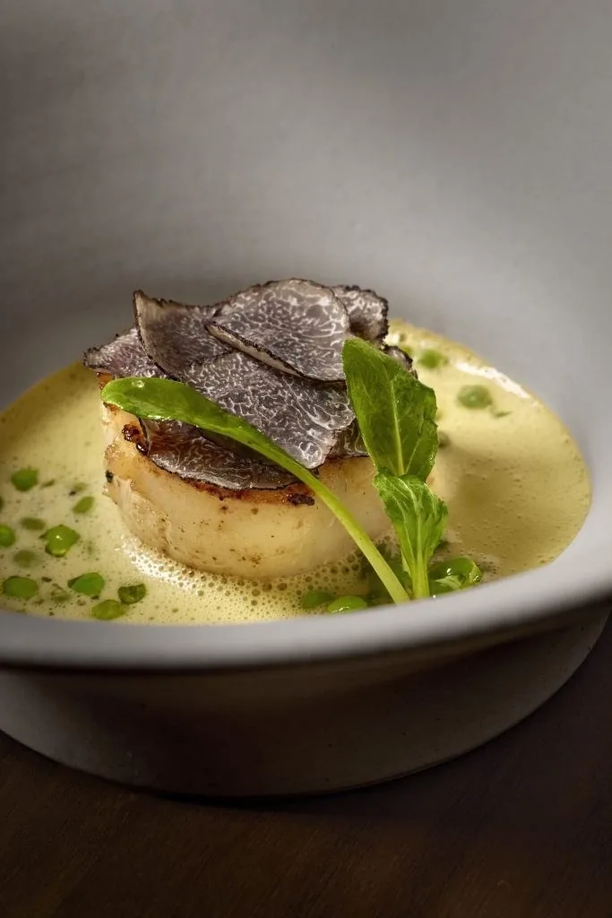 A round dish topped with shaved truffle and a green leaf in a pale yellow sauce in a white bowl