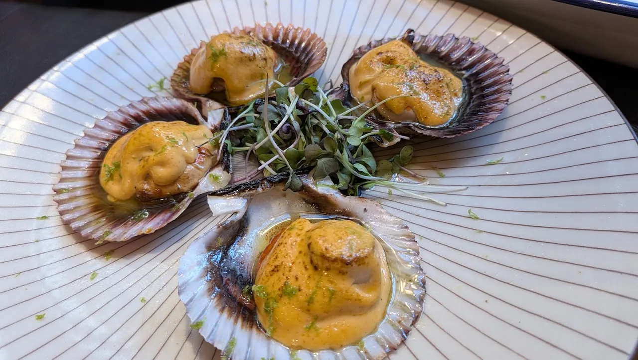 Baked scallops in their shells with a golden topping