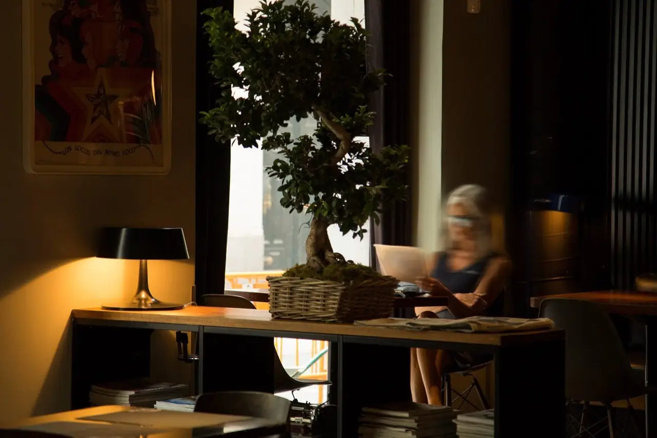 Atmospheric cafe corner with a bonsai tree in a wicker basket, a glowing table lamp, stacked magazines and a vintage film poster on the wall