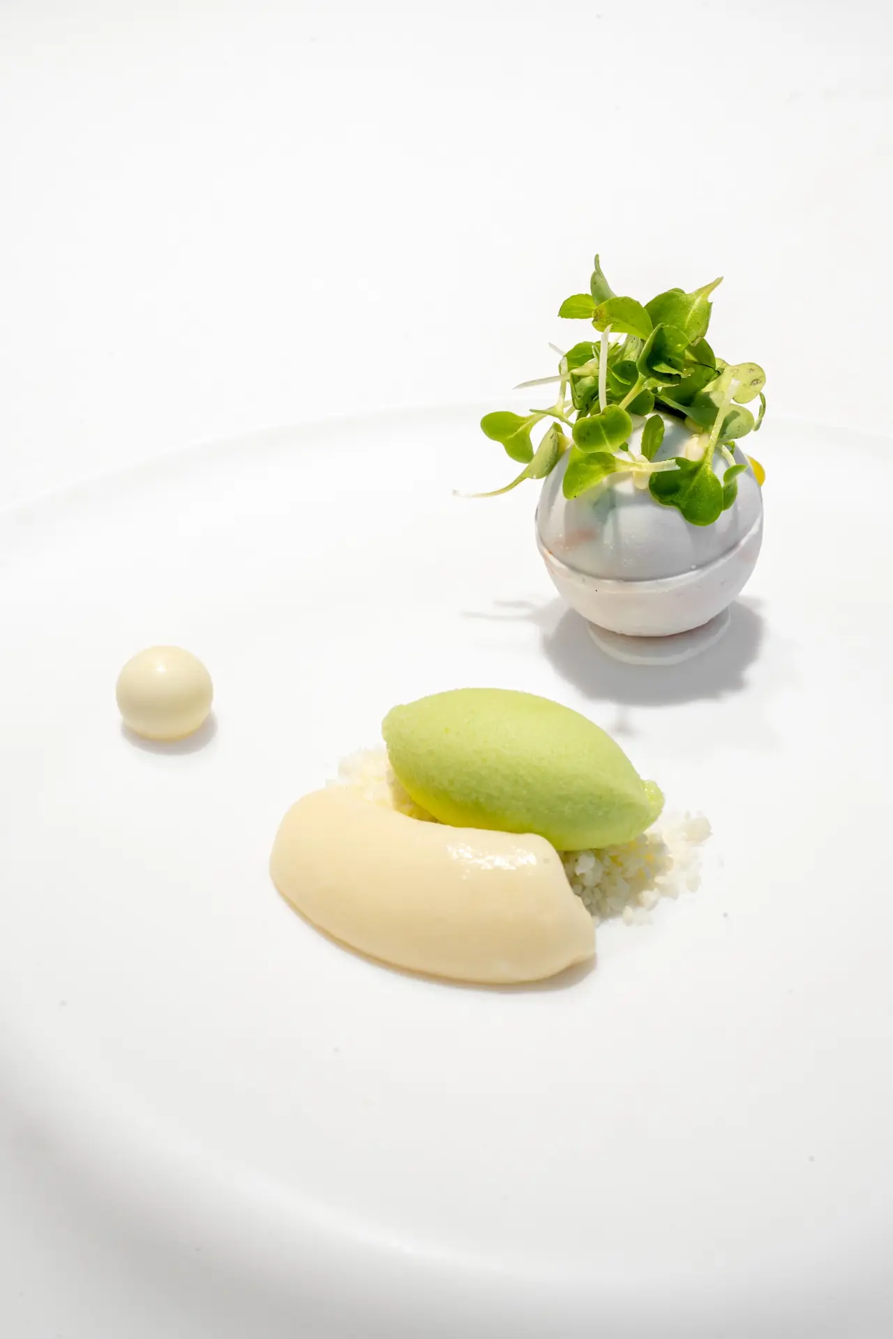 Avant-garde plated course with sphere topped with microgreens, quenelles and a small pearl on white plate
