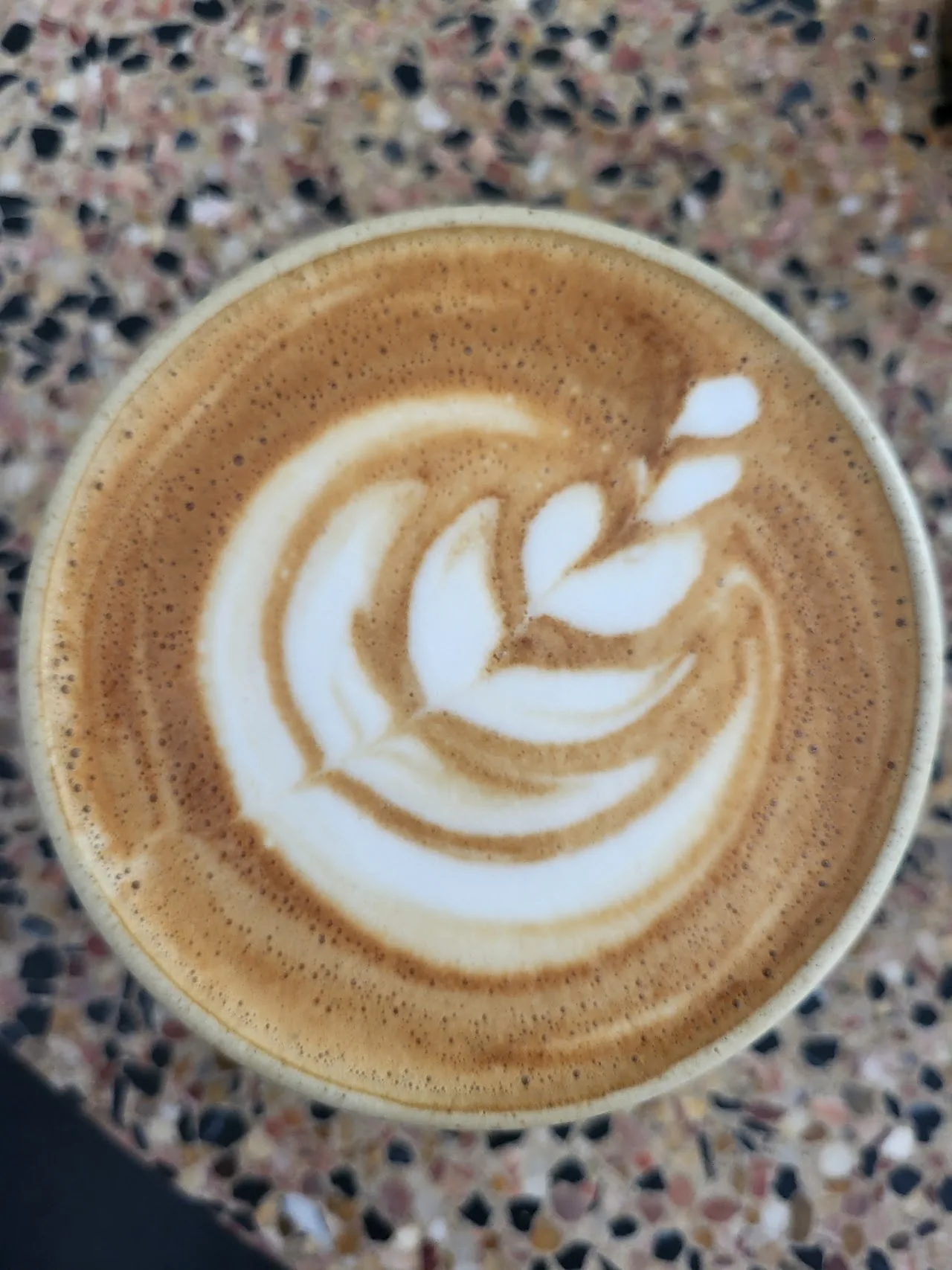 A cappuccino with detailed latte art viewed from above