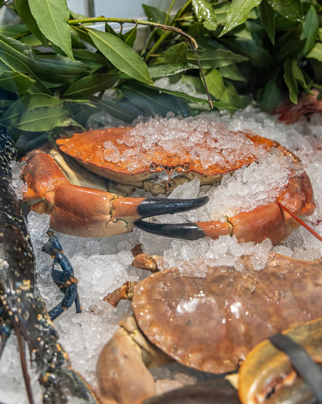 ¡El plan de verano!
#grupooter #restaurantes #madrid