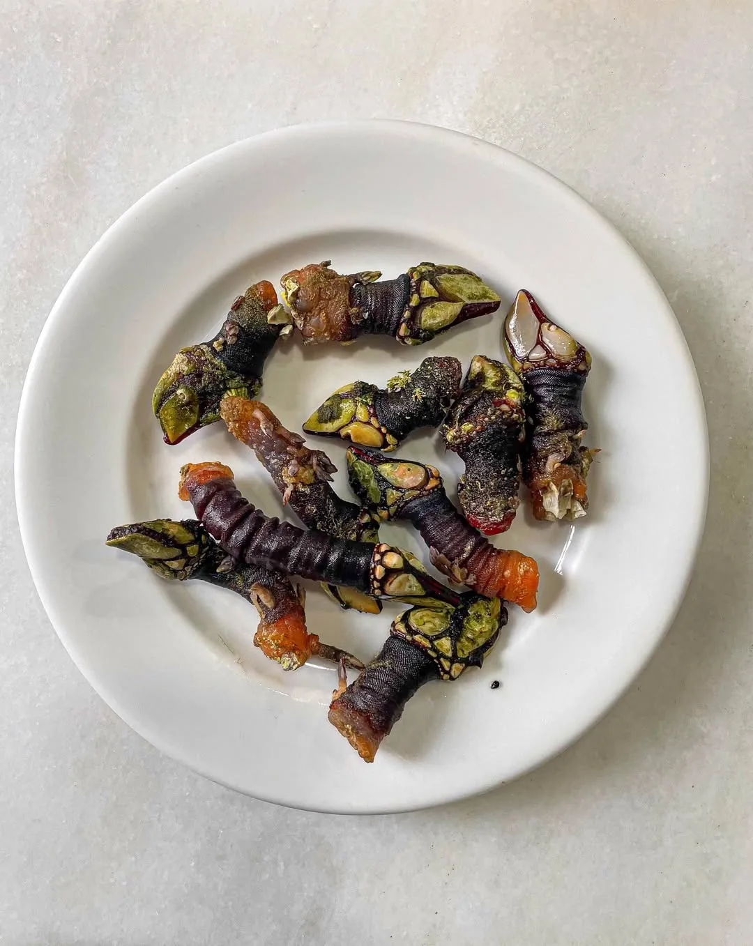 A white plate of dark-shelled shellfish