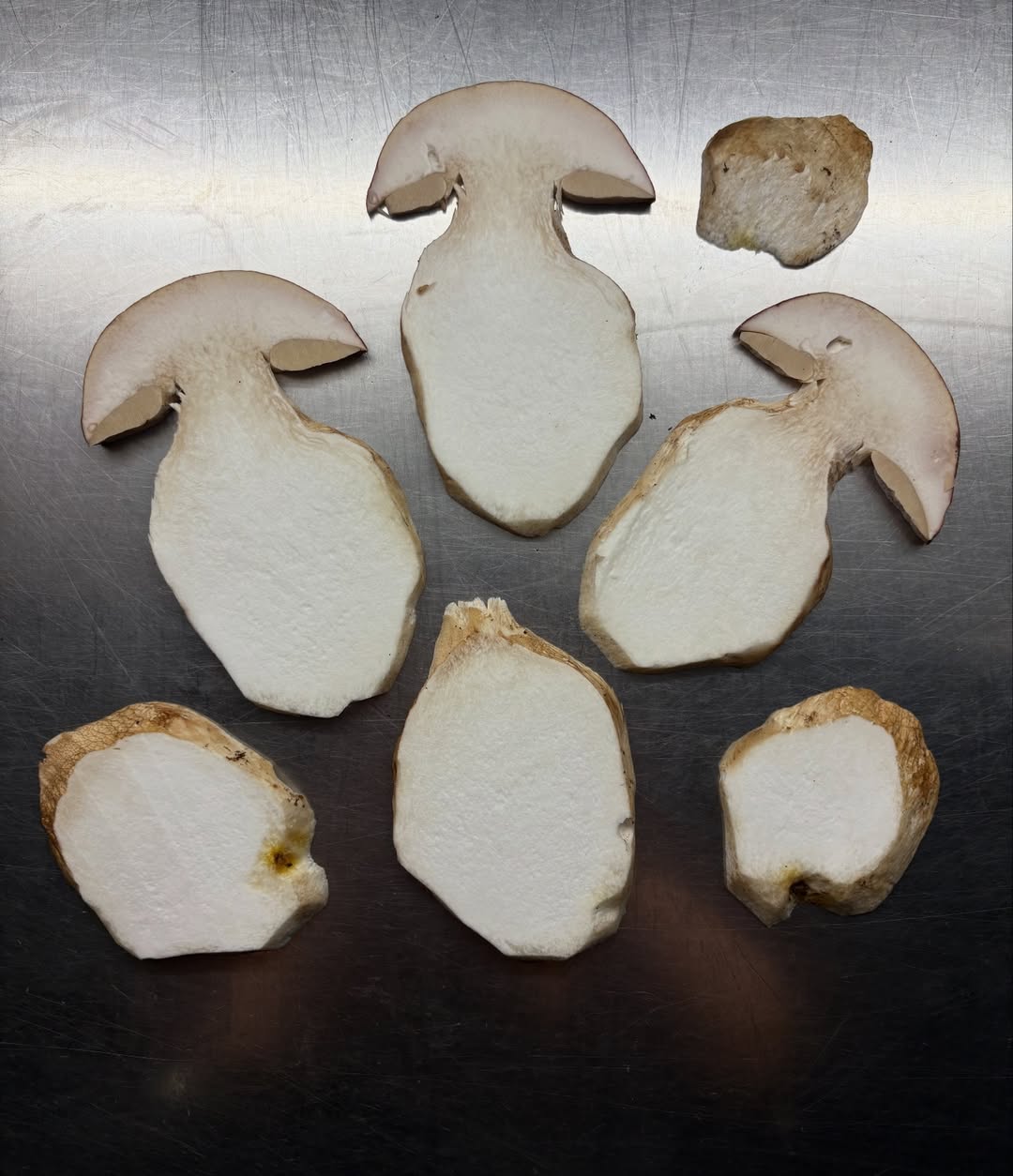 Como si fuera magia, ¡HAN LLEGADO BOLETUS! para nuestra última semana de @el_brote 🍄‍🟫♥️ Eso sí, no sabemos cuántos días