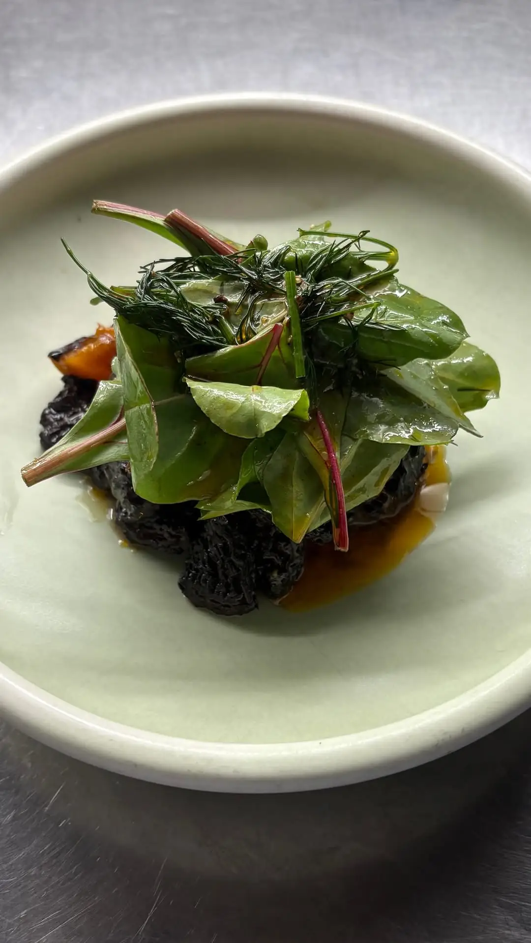 Plated dish of dark morel mushrooms topped with fresh green leaves and herb sprigs in a citrus sauce