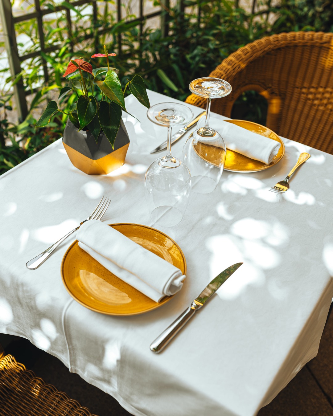 El arte de vestir la mesa para recibirte como te mereces. 🌿🍽️✨

Luces de tarde, la brisa de septiembre y un rincón prepa