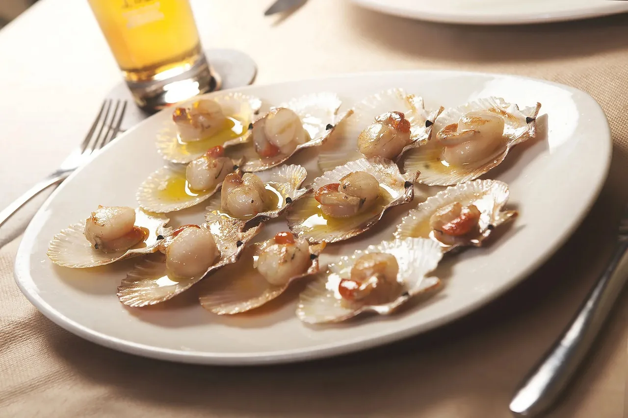 Small scallops in their shells on a white plate
