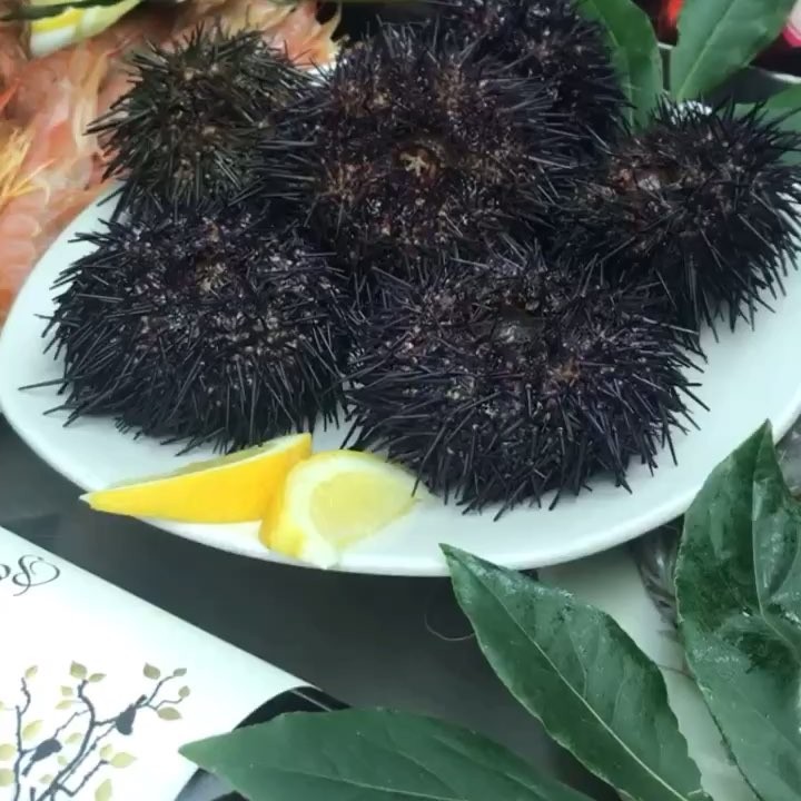 El Cucurucho del Mar on Instagram