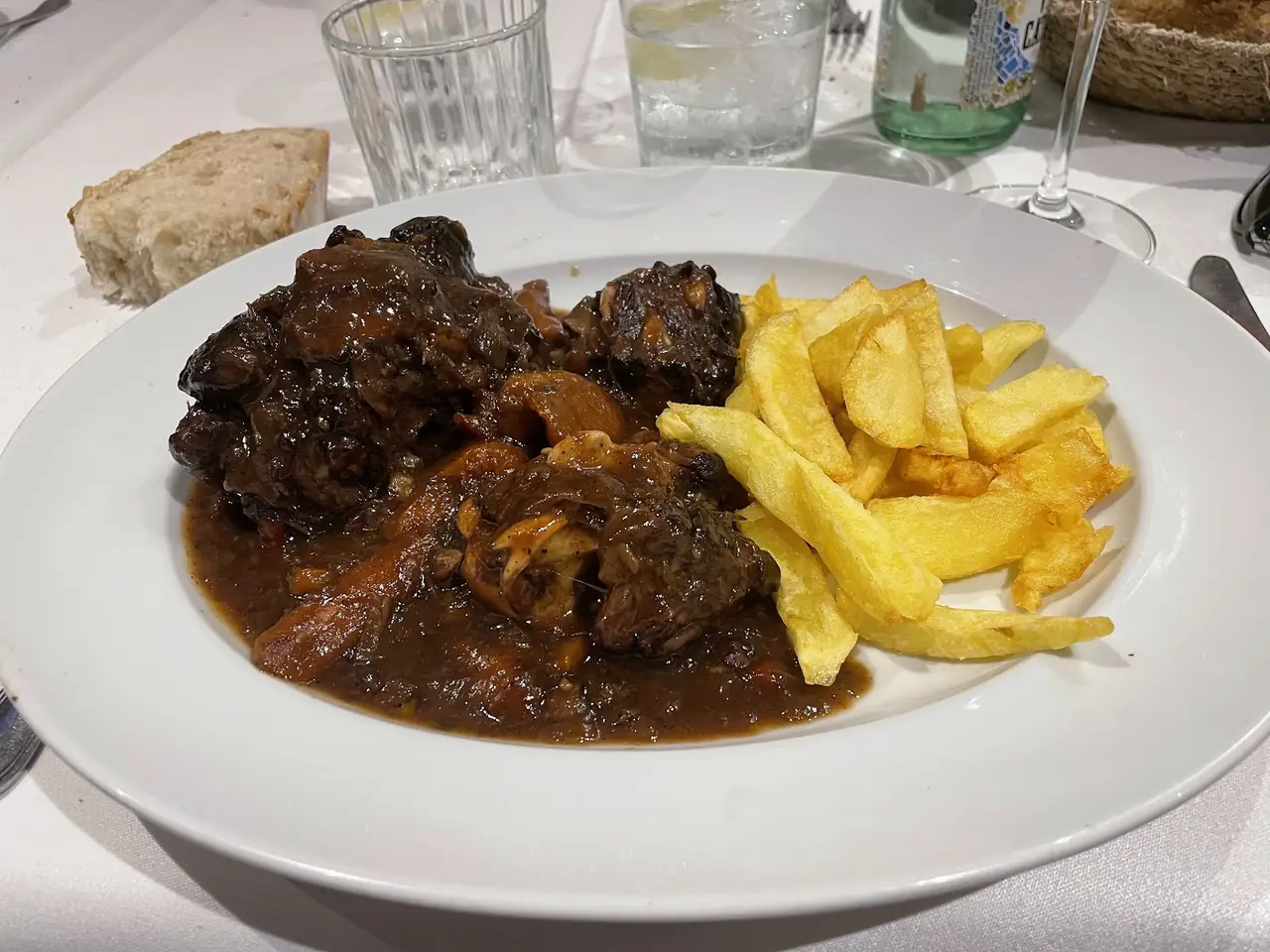 Braised meat in dark sauce with a side of golden fries on a white plate