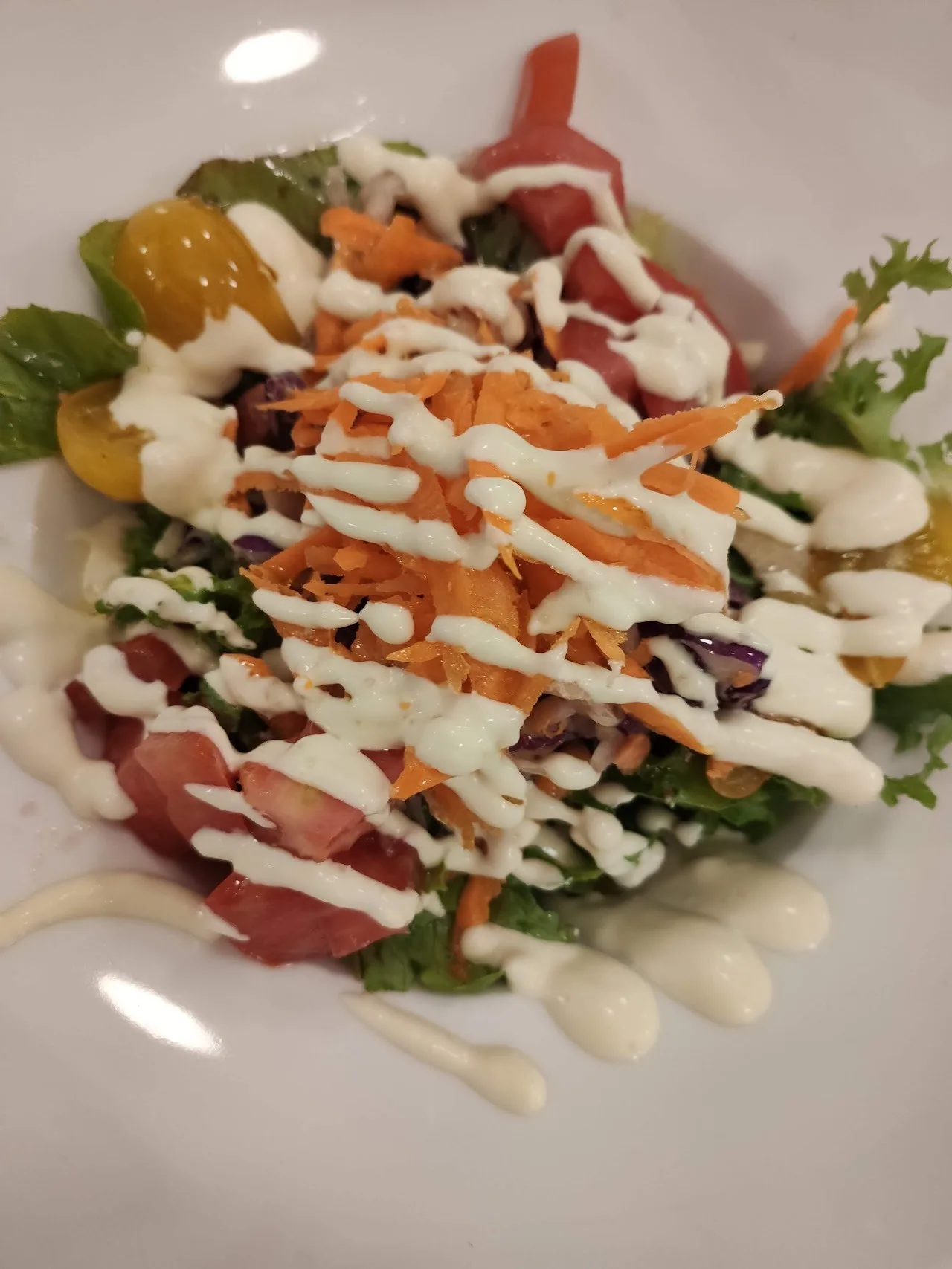 A plated salad of leaves and sliced vegetables drizzled with white sauce