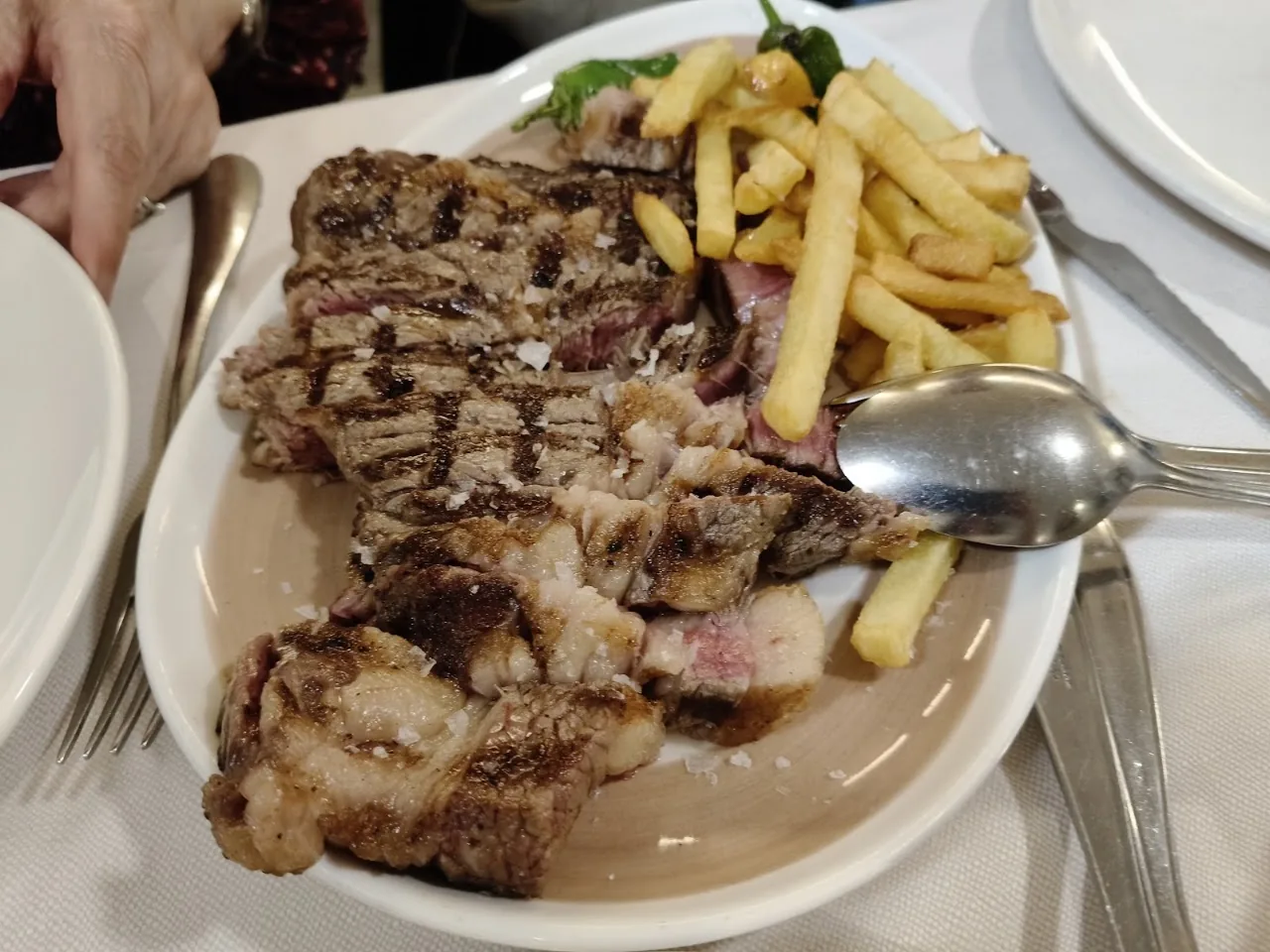 Grilled meat sliced and served with french fries