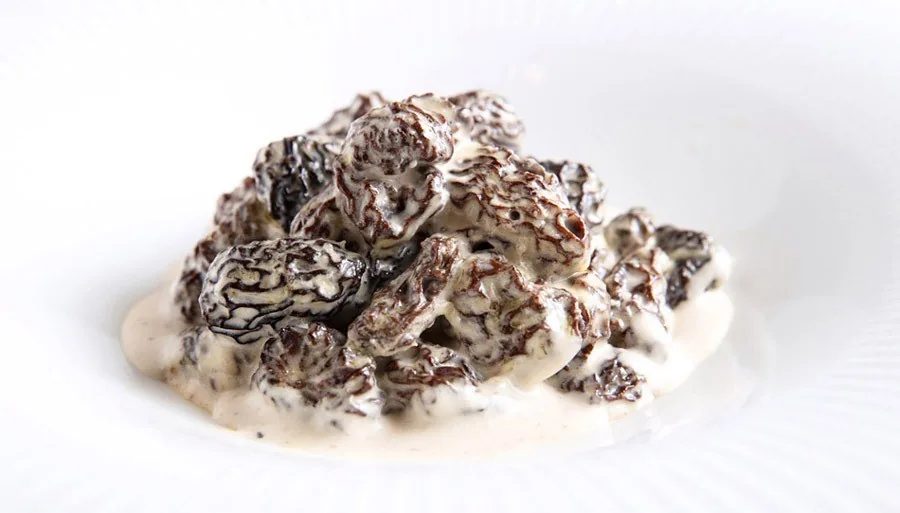 A pile of dark morel mushrooms in a pale sauce on a white plate