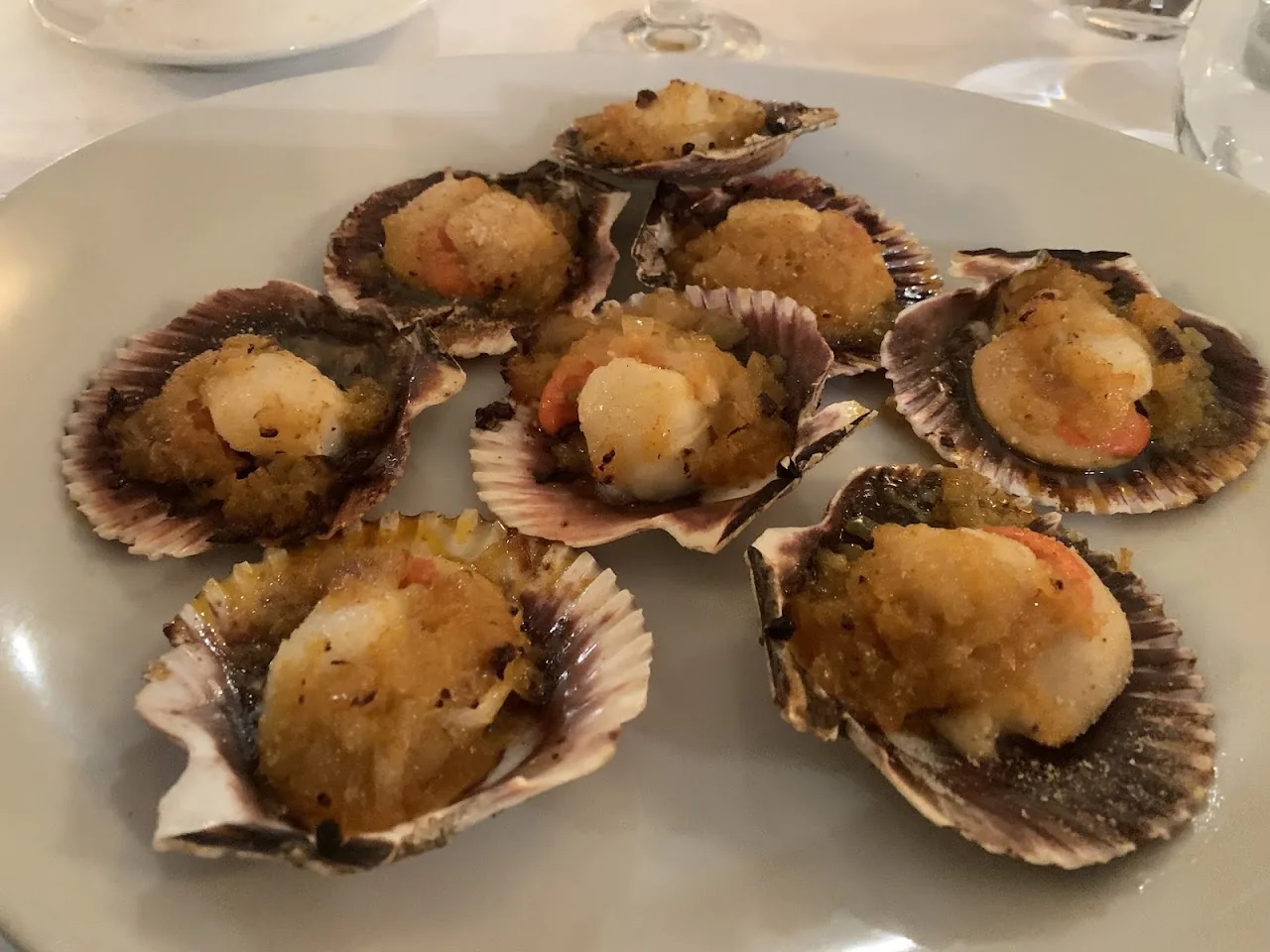 Scallops served in their shells with breadcrumbs