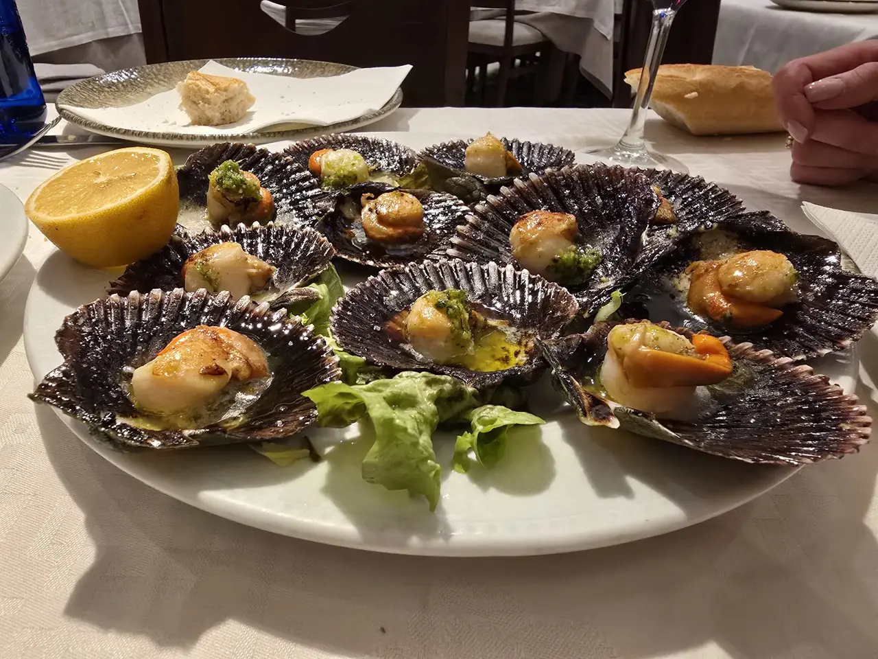 Grilled scallops on the half shell with herb butter, arranged on a plate with lettuce and half a lemon