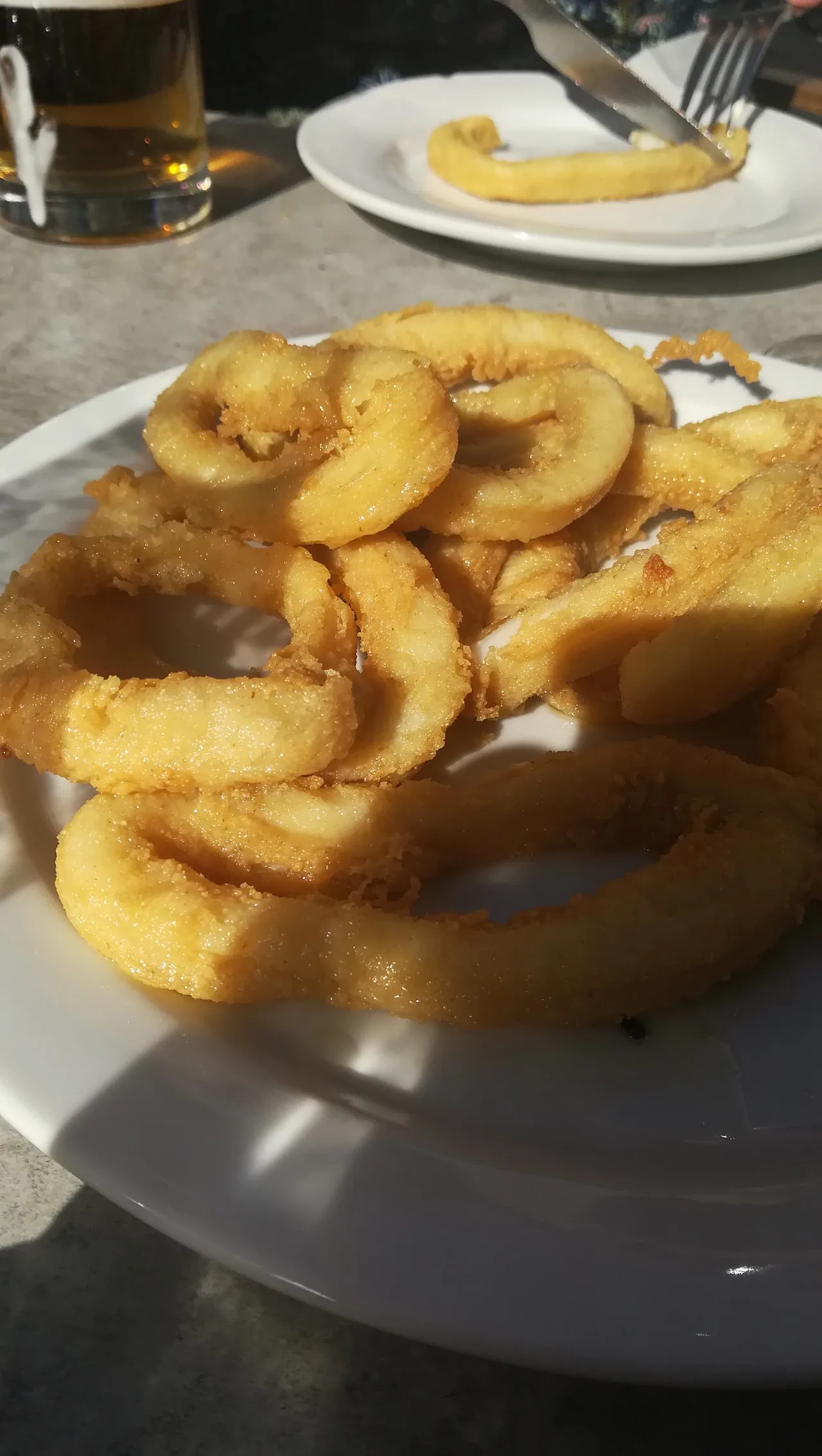 A plate of fried onion rings