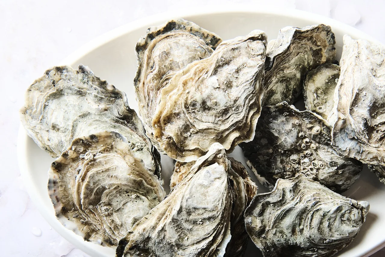 A white plate of freshly opened oysters