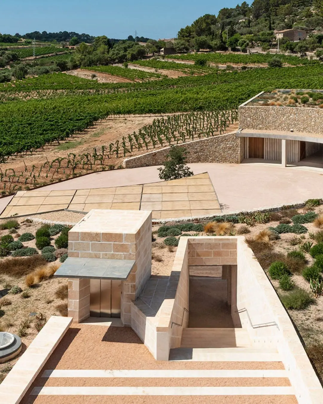 The Bodega Olorón winery among terraced vineyards