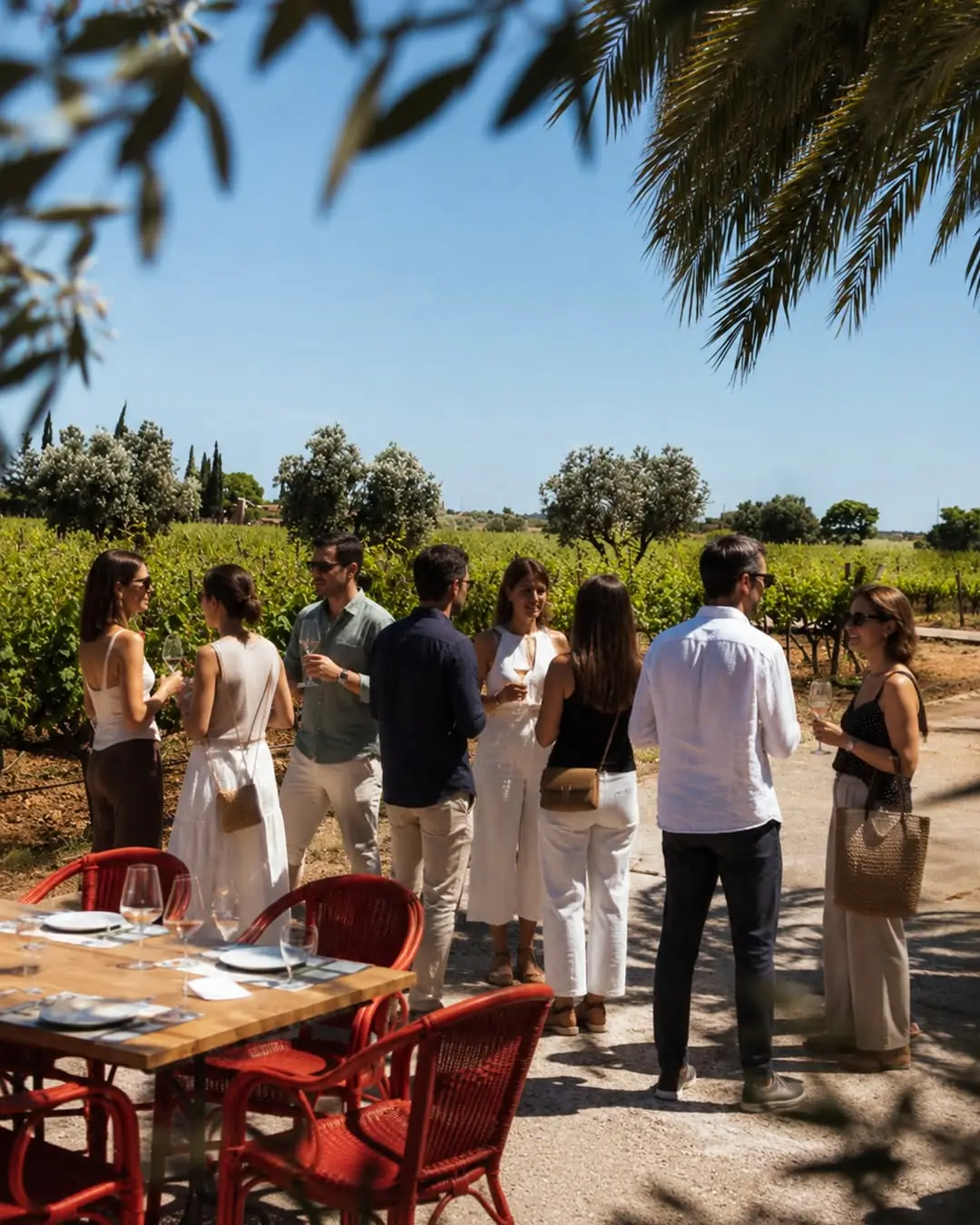 Guests at a long table among the vines at Bodegas Ángel