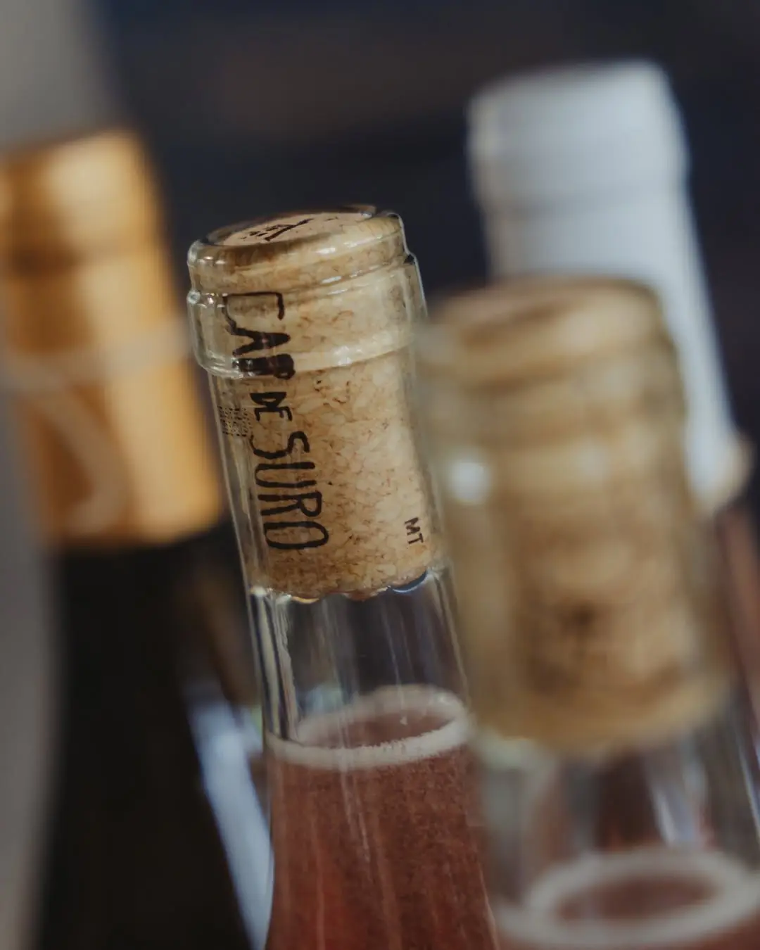 Close-up of Bodegues Vidal Serra wine bottles