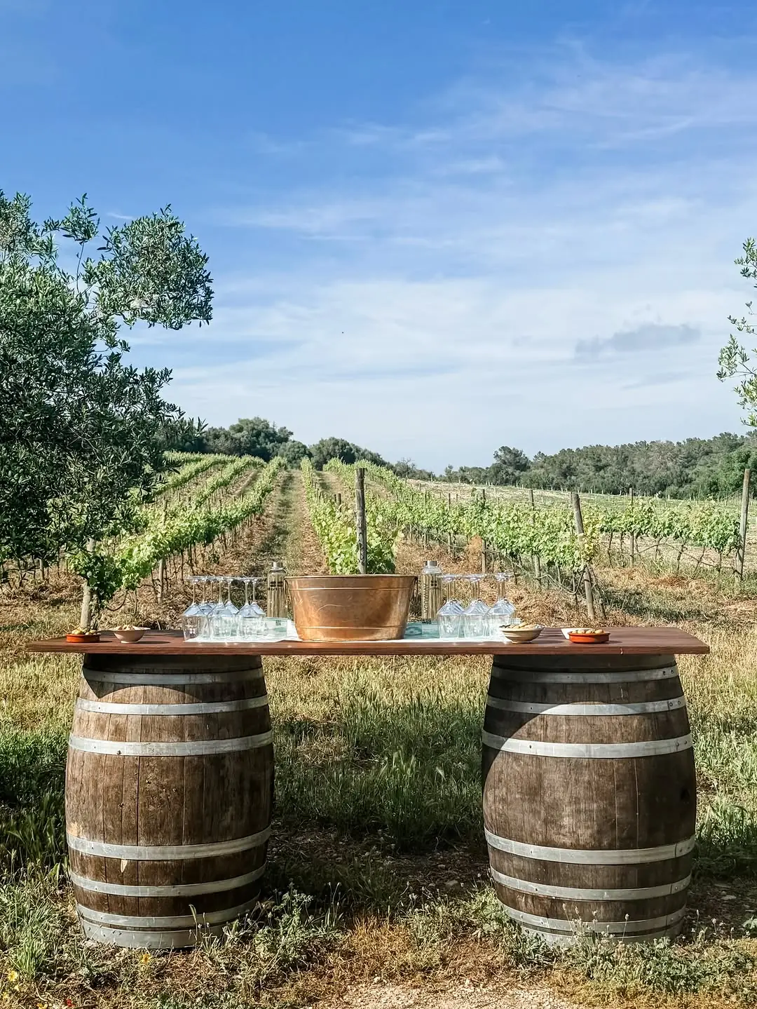 Wine barrels set up as a tasting table in the Can Feliu vineyard
