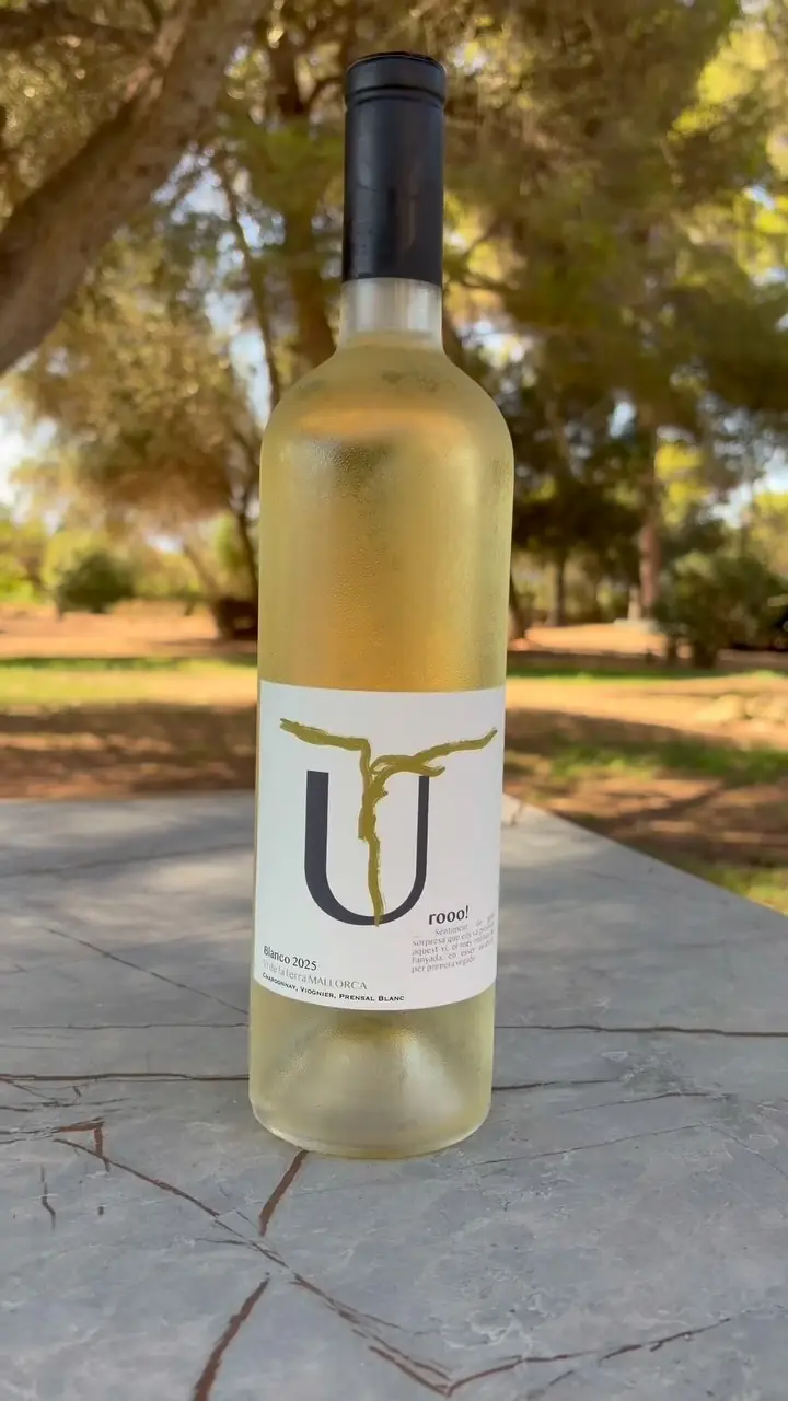 A bottle of Casetavella white wine outdoors