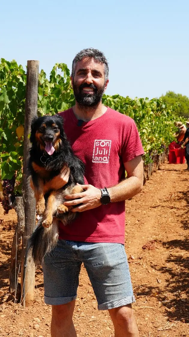 A man and his dog among the vines at a Vi de la Terra Mallorca winery