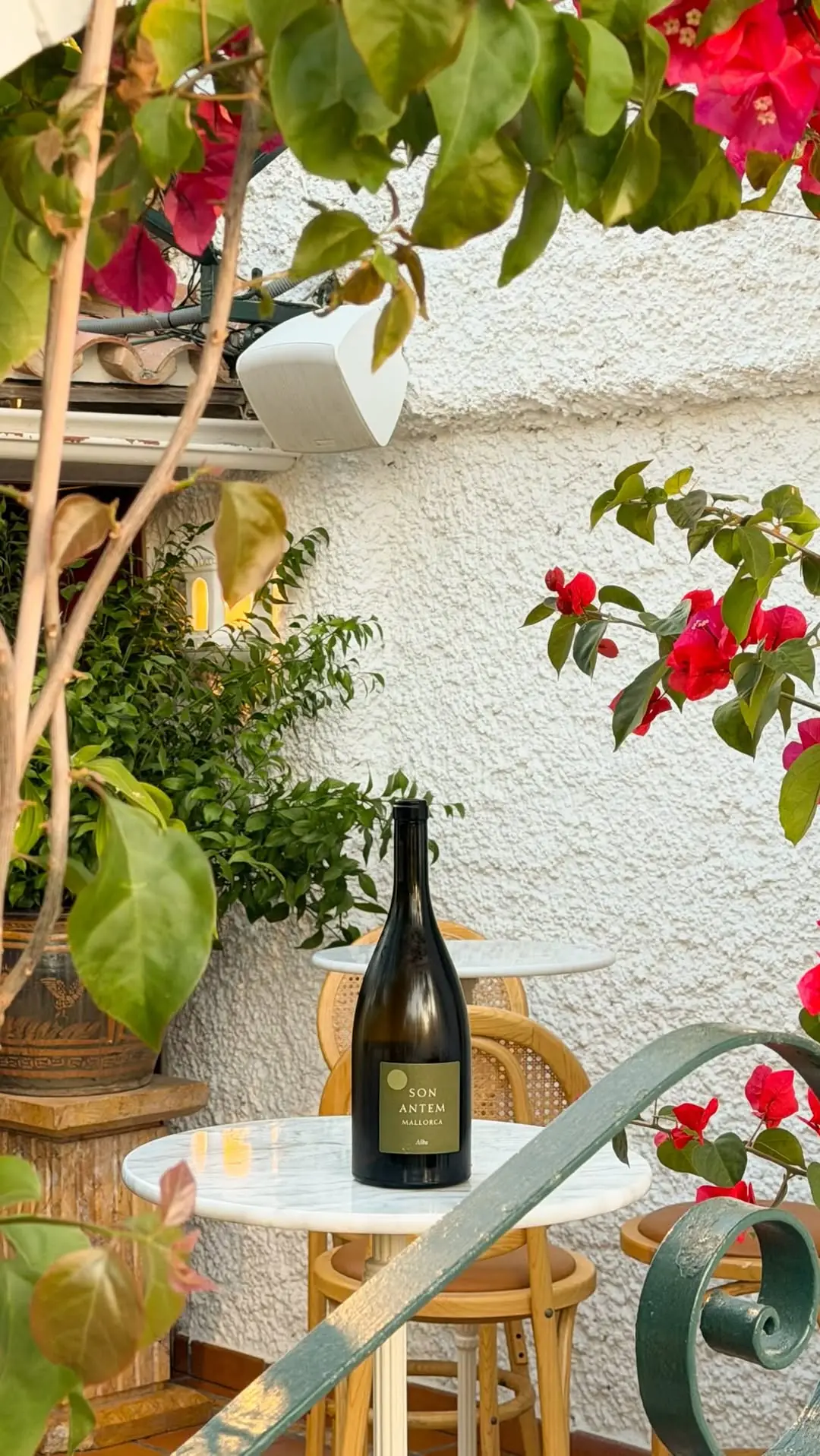 A bottle of Son Ante Malarò wine among flowers