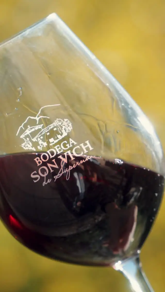 A glass of red wine etched with the Bodega Son Vich logo