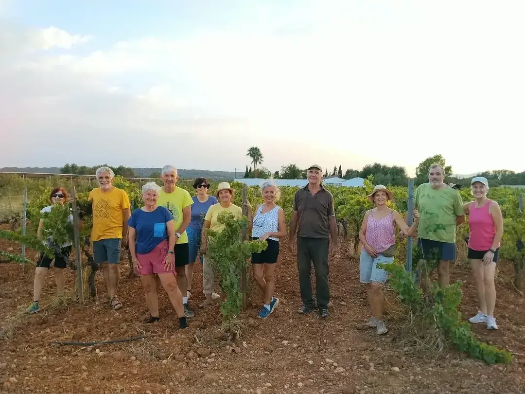 A group in the Jaume de Puntiró vineyard