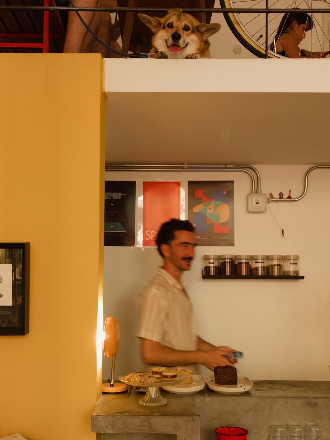 Se está acabando la slow life de agosto. 

Hoy llegaron dos cajas de discos seleccionados especialmente para darle fin a