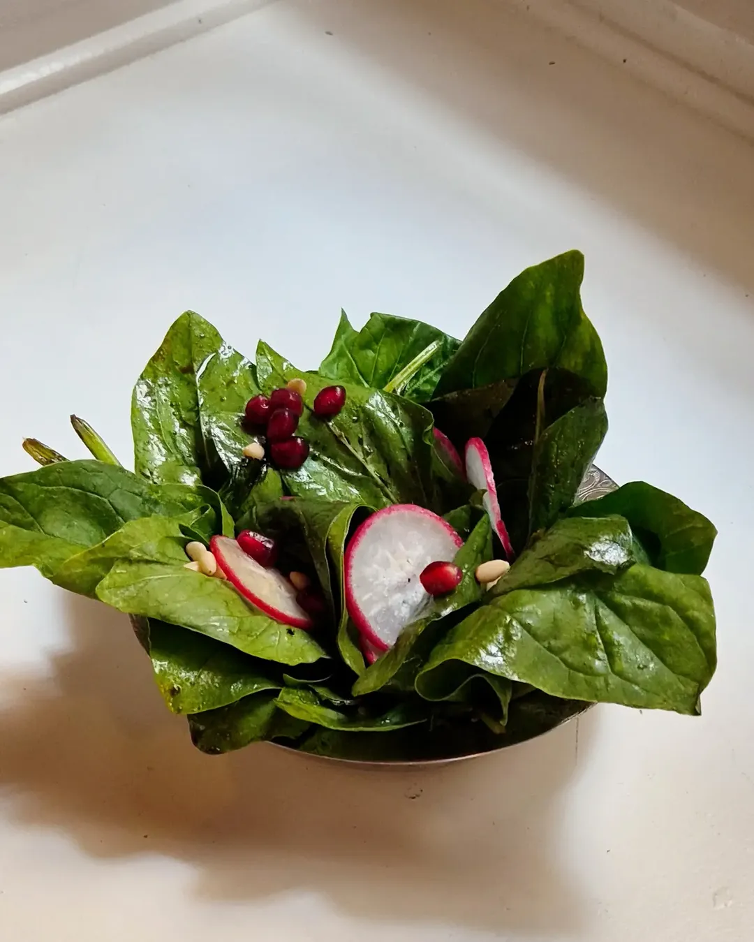 Ensalada de espinaca salvaje con rabanito, piñones y perlas de granada.

#restaurante #farah #lalatina #madrid #ensalada