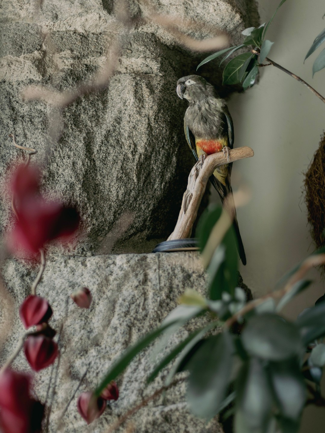 There's something about this room that knows how to hold quiet like a secret.
•
#FicusMadrid
