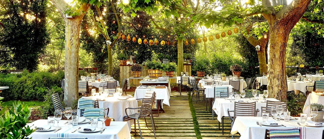 Tables set for dinner under leafy trees and string lights in a garden dining area