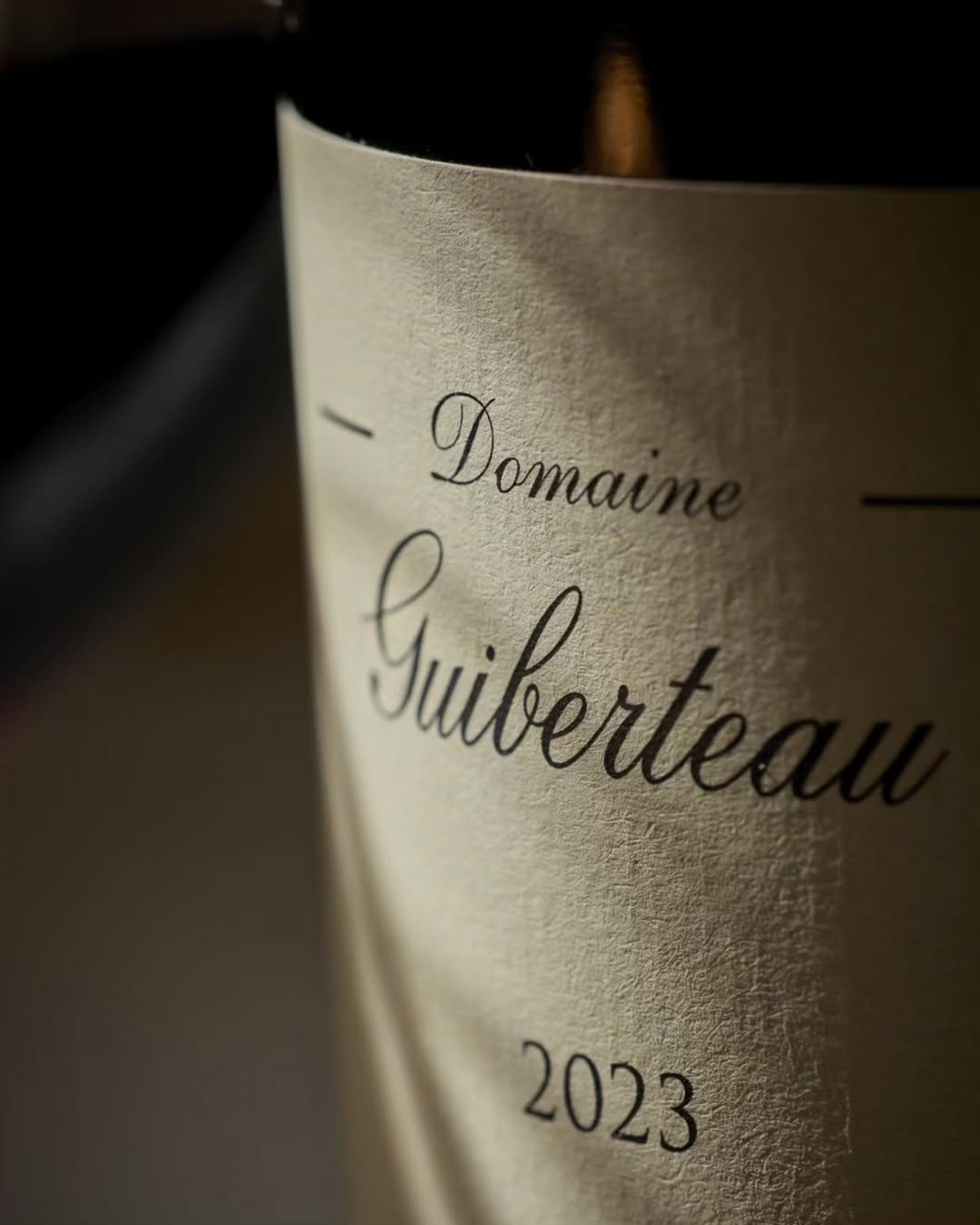 Domaine Guiberteau 2023, Saumur.

chenin blanc del loira.
mineral, recto, fresco. de esos vinos que parecen piedra mojad