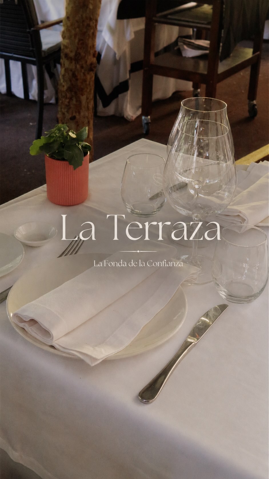LA TERRAZA YA ESTÁ LISTA !! 
Un rincón para disfrutar del verano en Madrid con buena cocina, buen producto y calma.
Te e