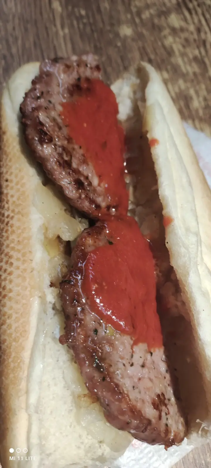 Grilled sausage in a bread roll with ketchup, at Frankfurt Pedralbes.