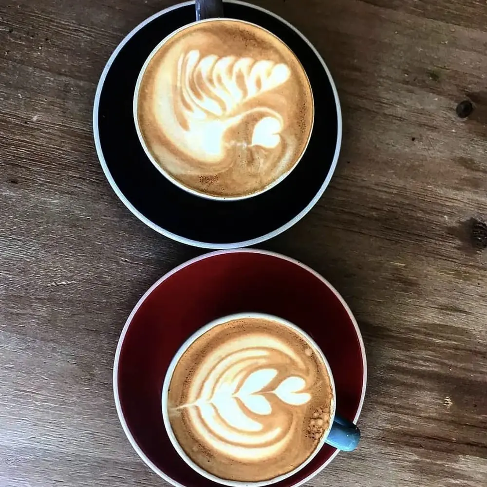 Two cups of coffee with latte art viewed from above.