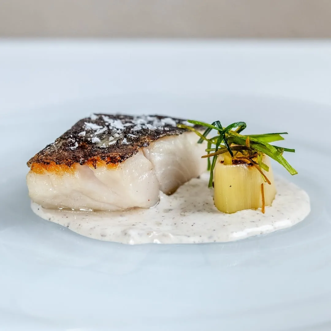 A piece of white fish with a charred top on a cream sauce, with green herbs