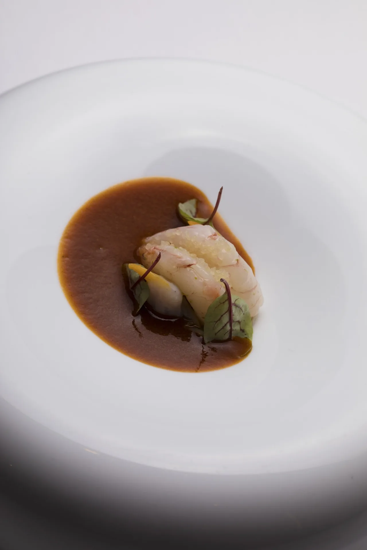 A round white plate with a pale portion of fish in a brown sauce