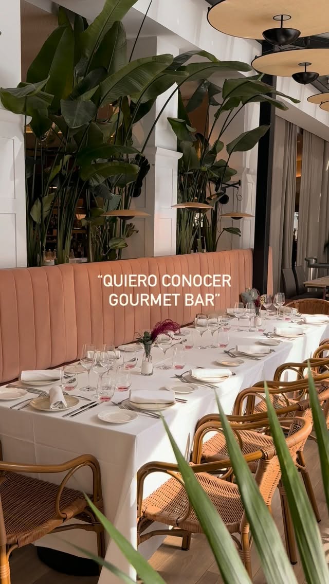 ¿Todavía no conoces Gourmet Bar? Estas son solo algunas de las razones por las que el que viene una vez, se queda con ga